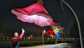 春“花”绽放 运河添彩