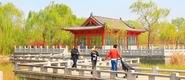 河南开封：游园赏花正当时