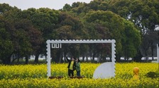 浙江嘉兴：打造美丽乡村旅游精品线